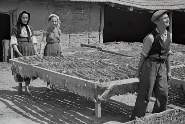 Summer camp at Chick-fil-A